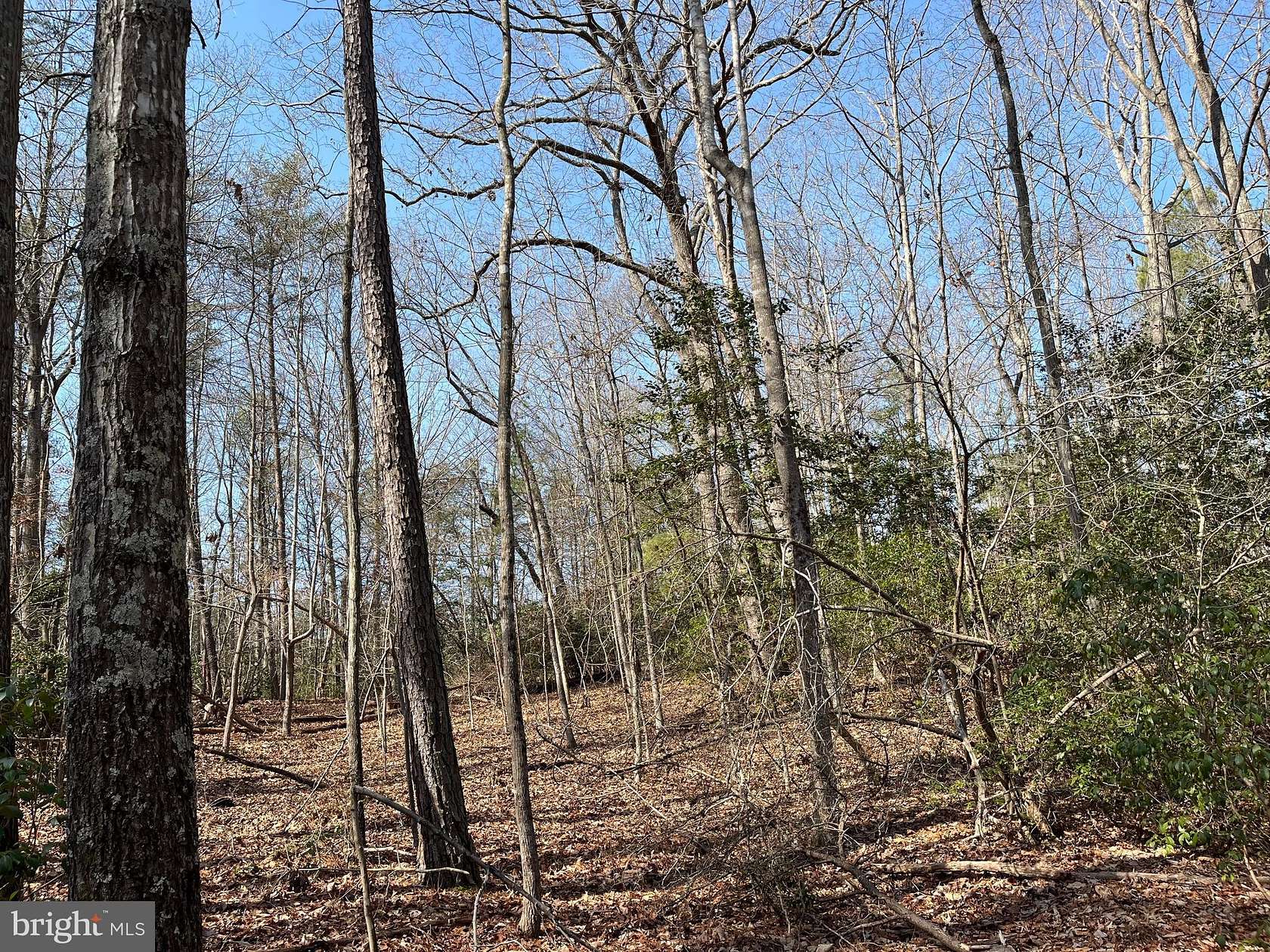 2.5 Acres of Residential Land for Sale in King George, Virginia