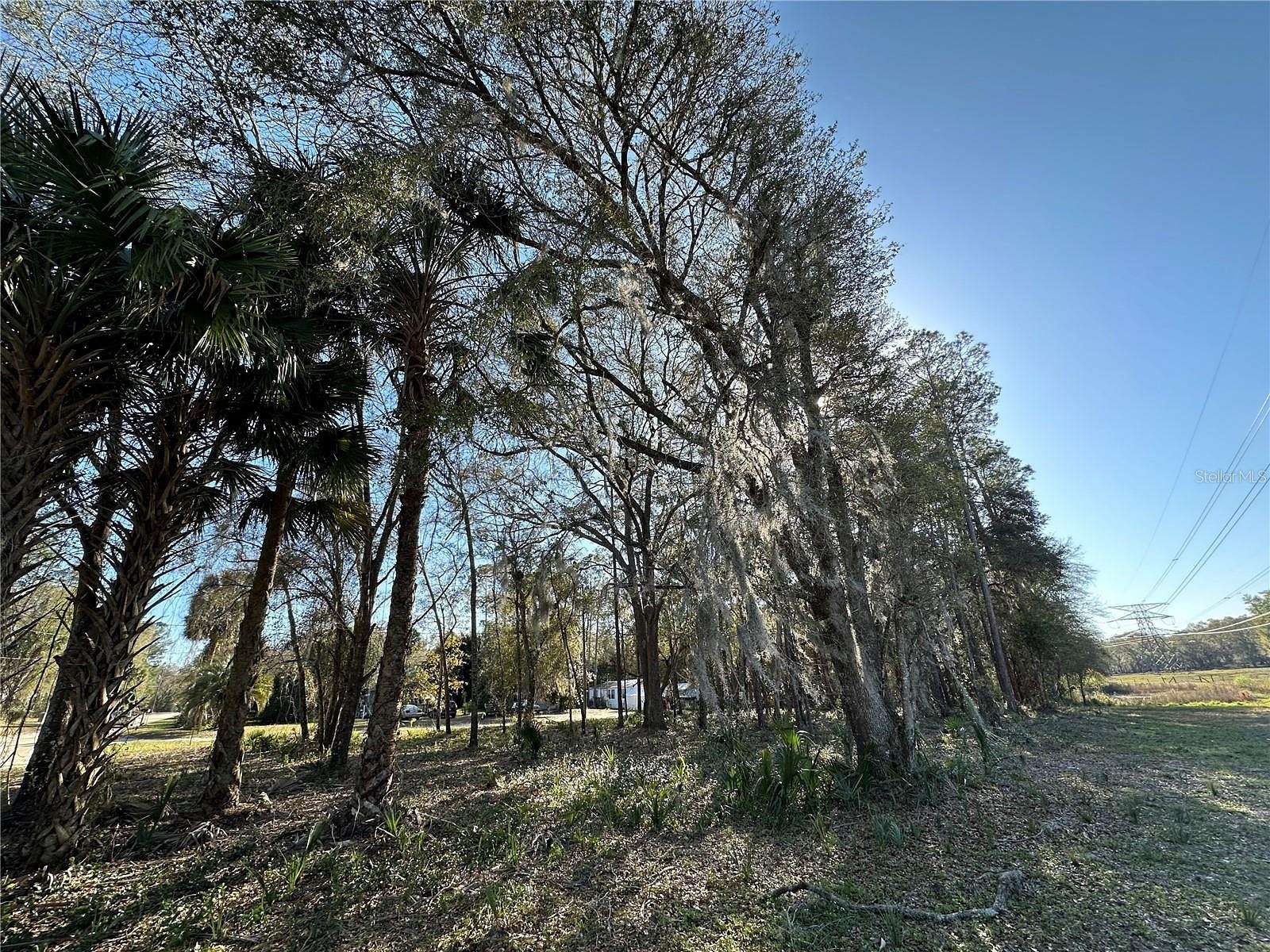 1 Acre of Residential Land for Sale in Fort McCoy, Florida
