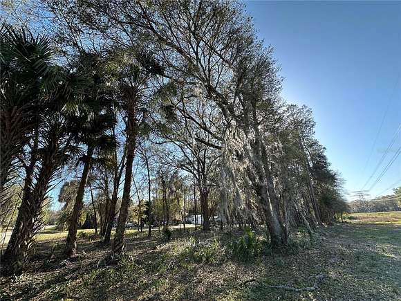 1 Acre of Residential Land for Sale in Fort McCoy, Florida