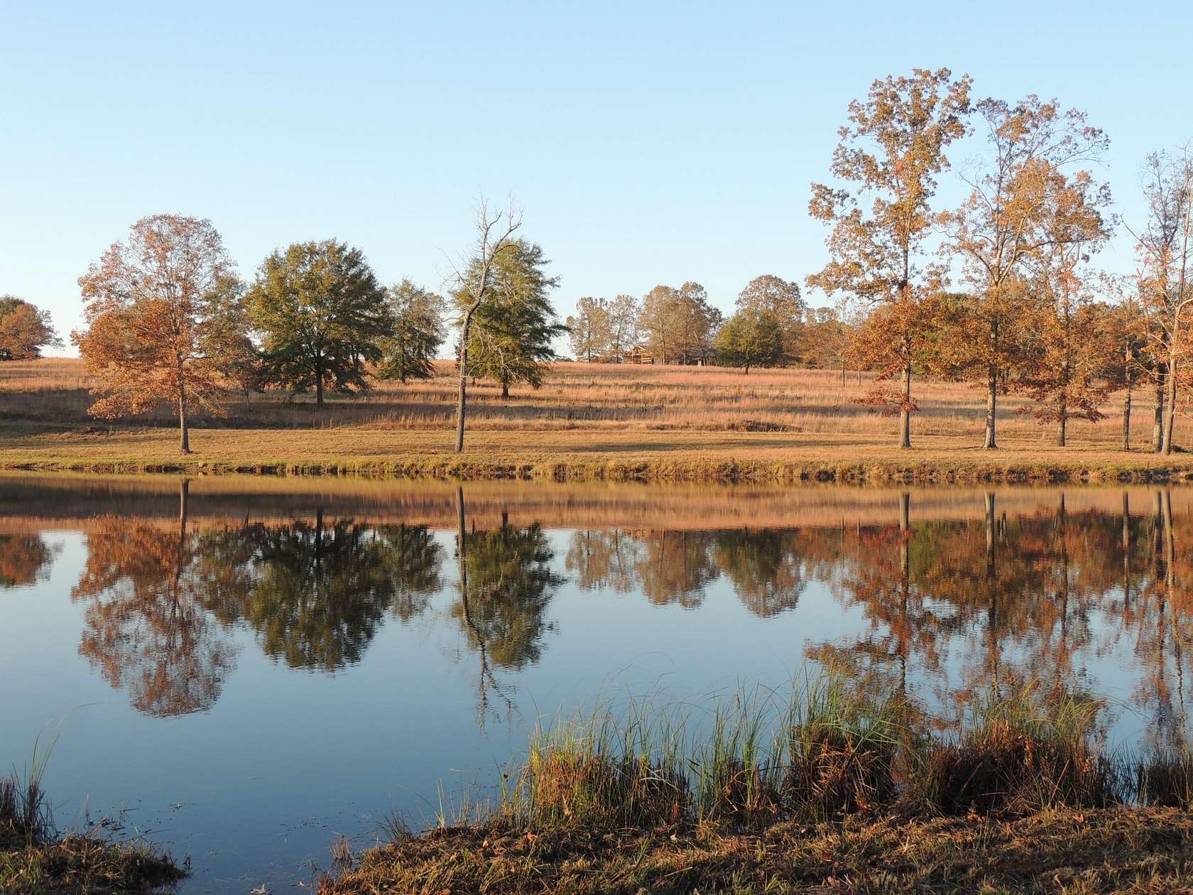 43.9 Acres of Land for Sale in Aiken, South Carolina