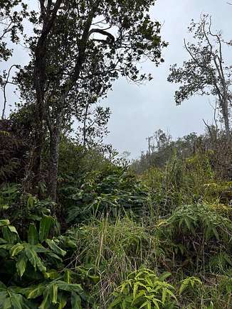 0.23 Acres of Land for Sale in Volcano, Hawaii