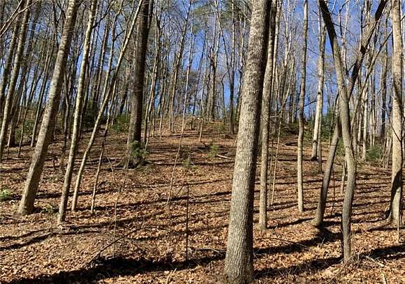0.75 Acres of Residential Land for Sale in Ellijay, Georgia