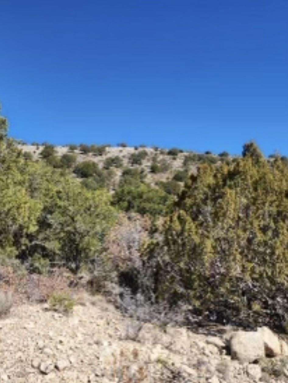 2.4 Acres of Land for Sale in Timberon, New Mexico