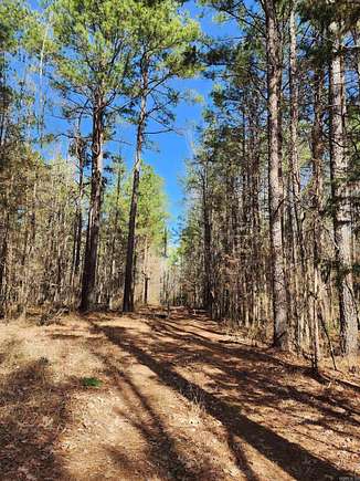 22.19 Acres of Recreational Land for Sale in Grapevine, Arkansas