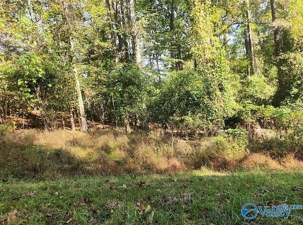 0.48 Acres of Residential Land for Sale in Hamilton, Alabama