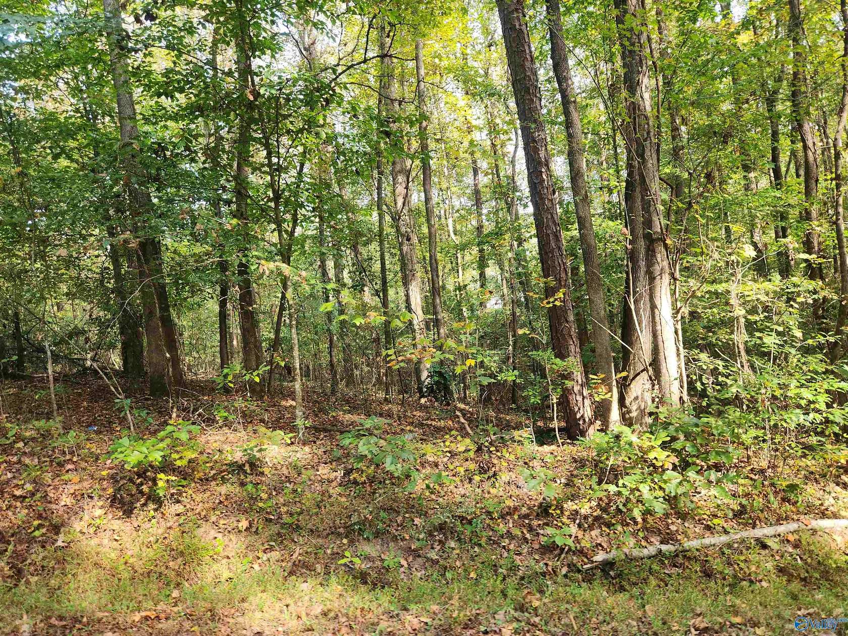 0.6 Acres of Residential Land for Sale in Hamilton, Alabama