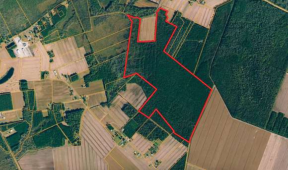 247 Acres of Recreational Land & Farm for Sale in Columbia, North Carolina