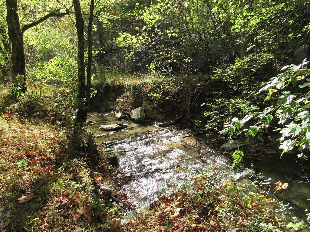 18 Acres of Land for Sale in Abingdon, Virginia