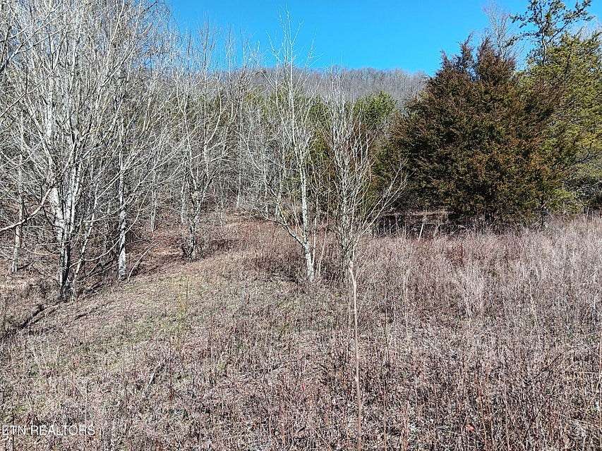 16.7 Acres of Recreational Land & Farm for Sale in Washburn, Tennessee