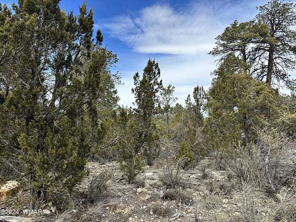 0.27 Acres of Residential Land for Sale in Overgaard, Arizona