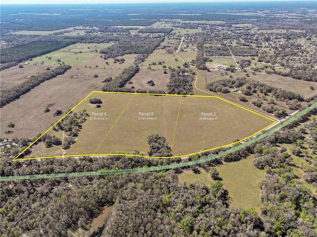 64.5 Acres of Land for Sale in Floral City, Florida