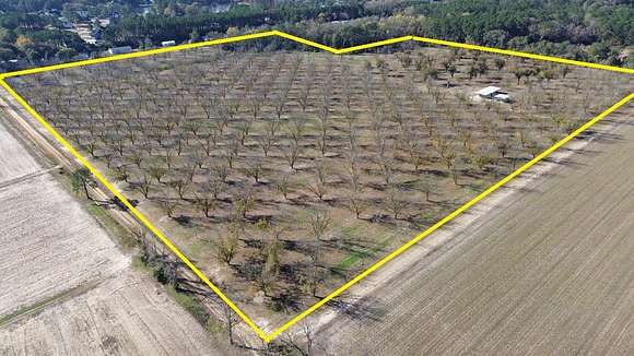47.8 Acres of Land for Sale in Thomasville, Georgia