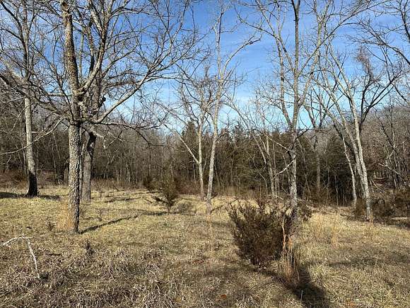 40.8 Acres of Land for Sale in Highlandville, Missouri