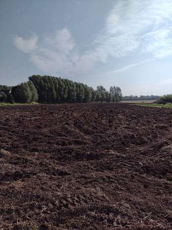 20.1 Acres of Commercial Land for Sale in Omro, Wisconsin