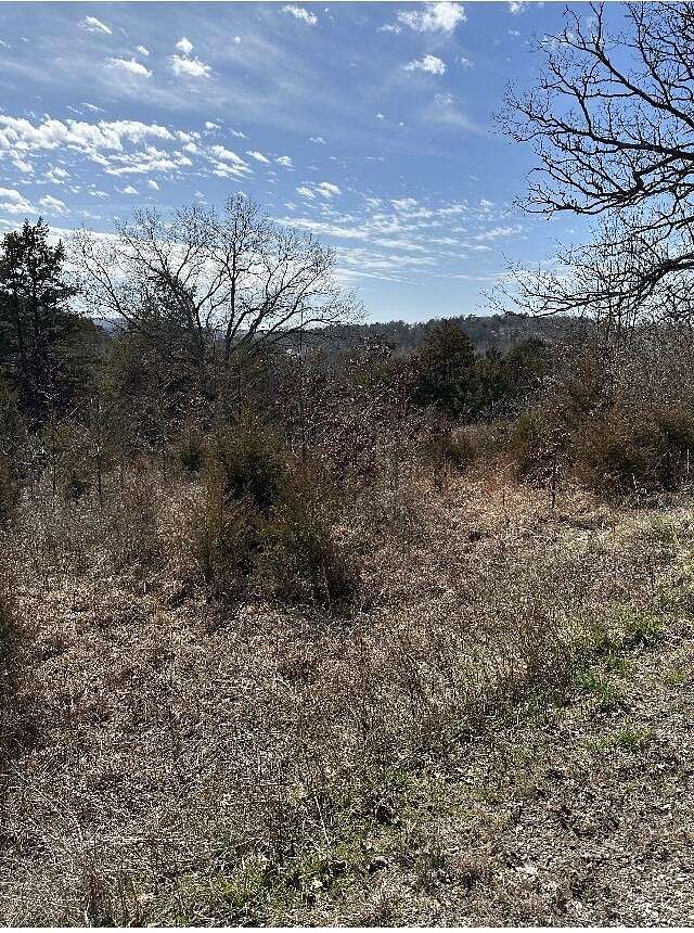 1 Acre of Land for Sale in Holiday Island, Arkansas