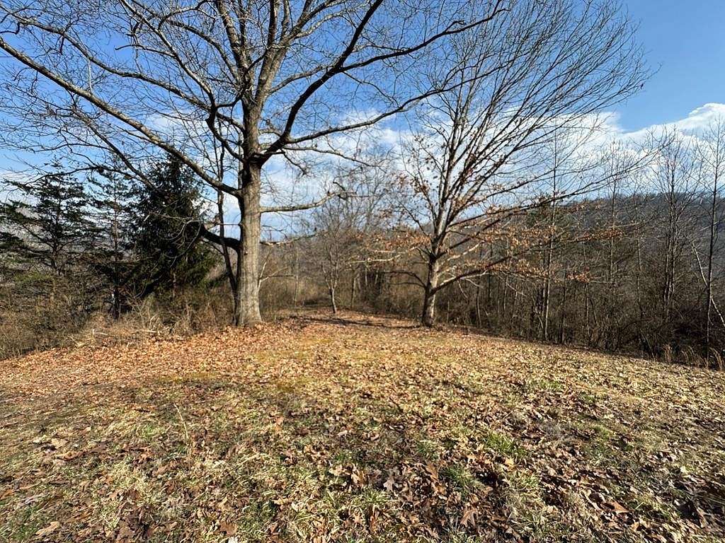Residential Land for Sale in Mount Hope, West Virginia