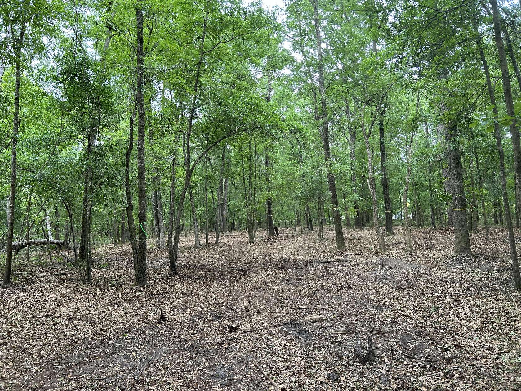 3.5 Acres of Land for Sale in Hollywood, South Carolina