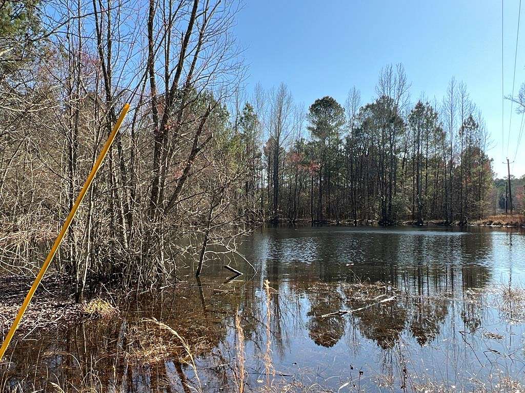 29 Acres of Recreational Land for Sale in Kingston, Georgia