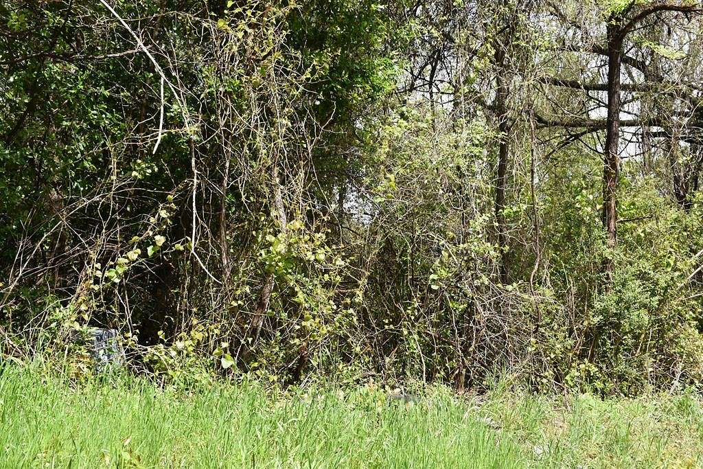 0.54 Acres of Land for Sale in Palestine, Texas