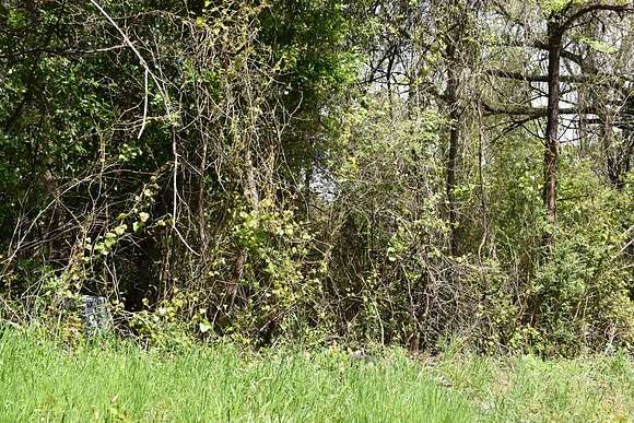 0.54 Acres of Land for Sale in Palestine, Texas