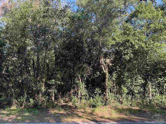 0.23 Acres of Residential Land for Sale in Pensacola, Florida