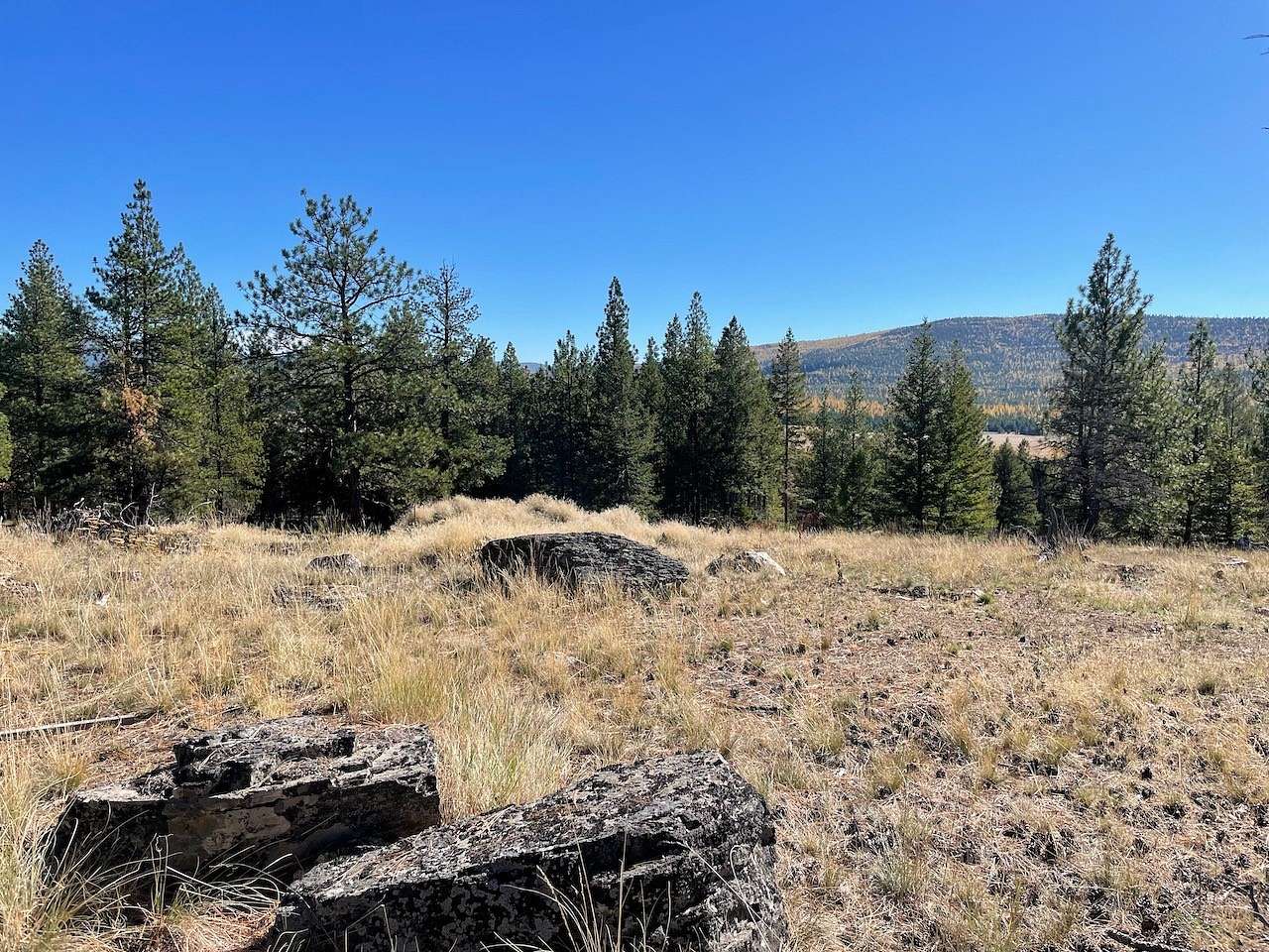 20.2 Acres of Land for Sale in Marion, Montana