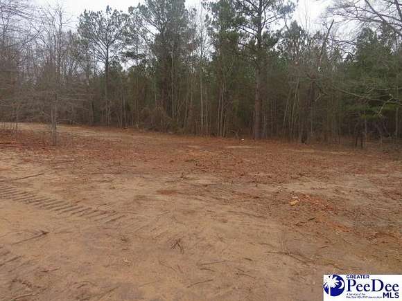 37.1 Acres of Land for Sale in Hartsville, South Carolina