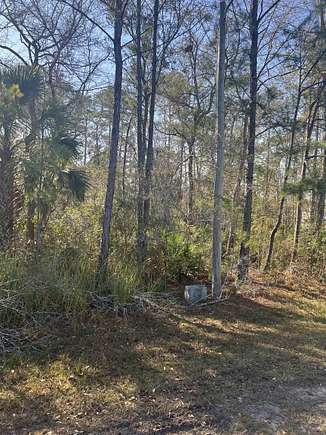 0.5 Acres of Residential Land for Sale in St. Marks, Florida