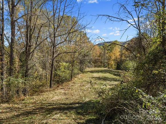 10 Acres of Residential Land for Sale in Leicester, North Carolina