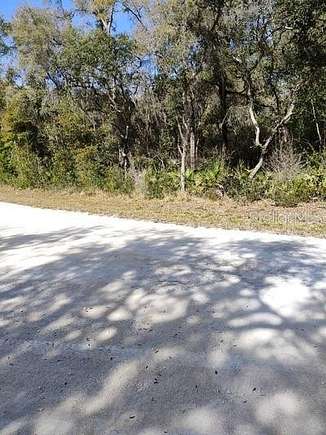 0.65 Acres of Residential Land for Sale in Ridge Manor, Florida