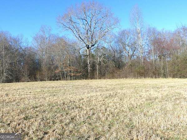 5.88 Acres of Mixed-Use Land for Sale in Cleveland, Georgia