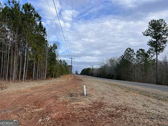 19.3 Acres of Land for Sale in Forsyth, Georgia
