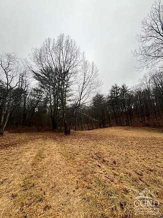 30.03 Acres of Land for Sale in West Coxsackie, New York