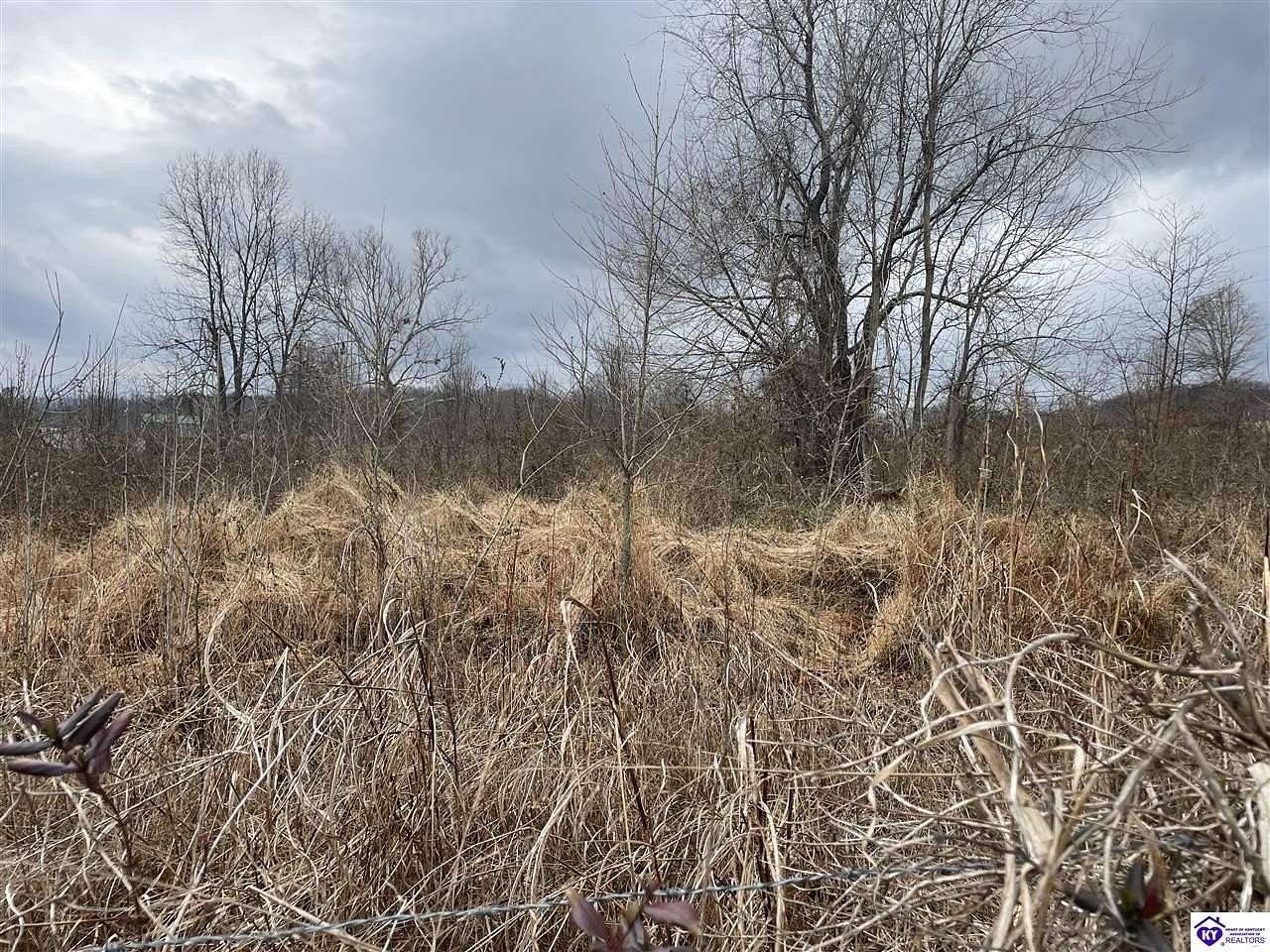 0.96 Acres of Land for Sale in Cloverport, Kentucky