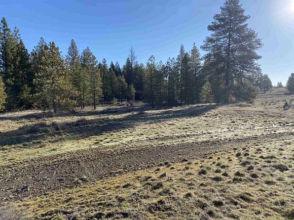 10 Acres of Land for Sale in Cheney, Washington