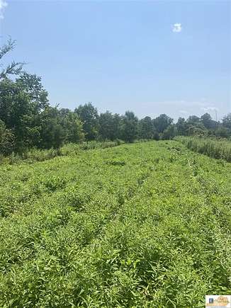 11.3 Acres of Land for Sale in Jamestown, Kentucky