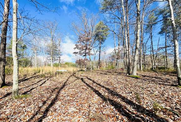 1.3 Acres of Residential Land for Sale in Spencer, Tennessee