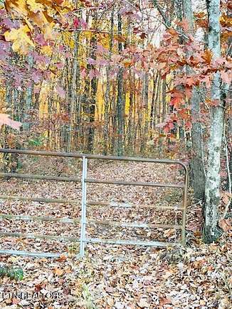 60.8 Acres of Land for Sale in Crossville, Tennessee