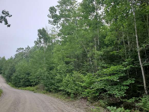 62.5 Acres of Recreational Land for Sale in Otis, Maine