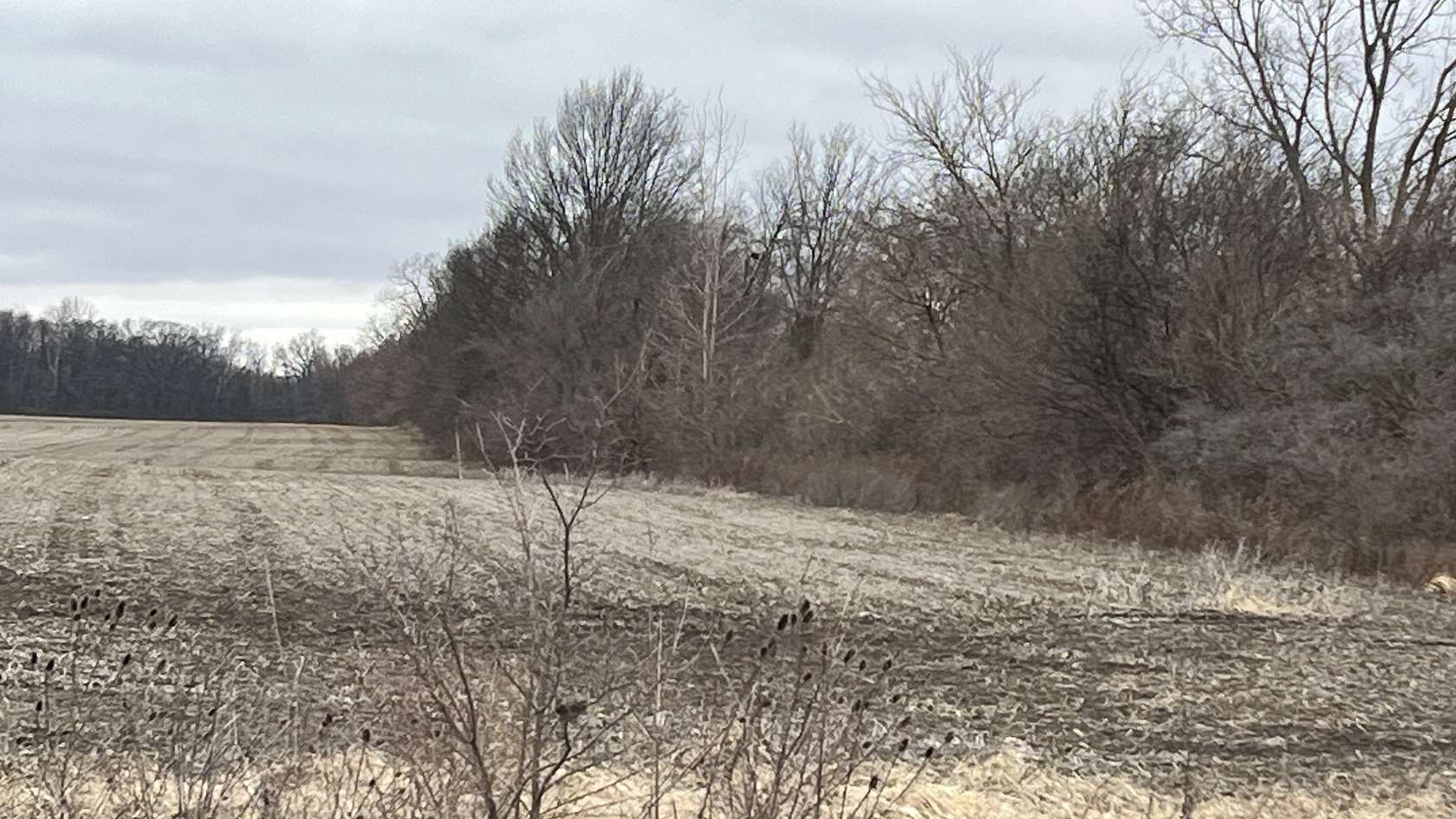 1.7 Acres of Residential Land for Sale in Muncie, Indiana