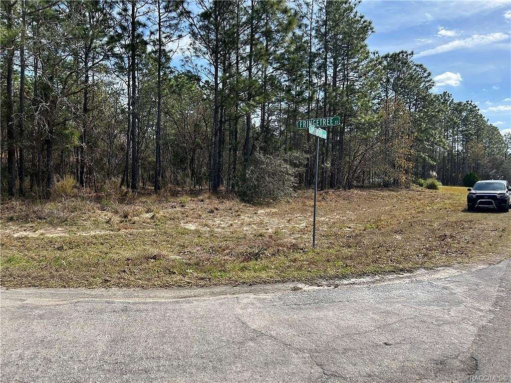 0.39 Acres of Residential Land for Sale in Homosassa, Florida