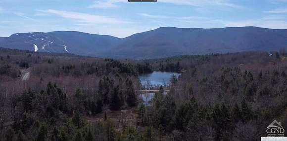 30 Acres of Recreational Land for Sale in Jewett, New York