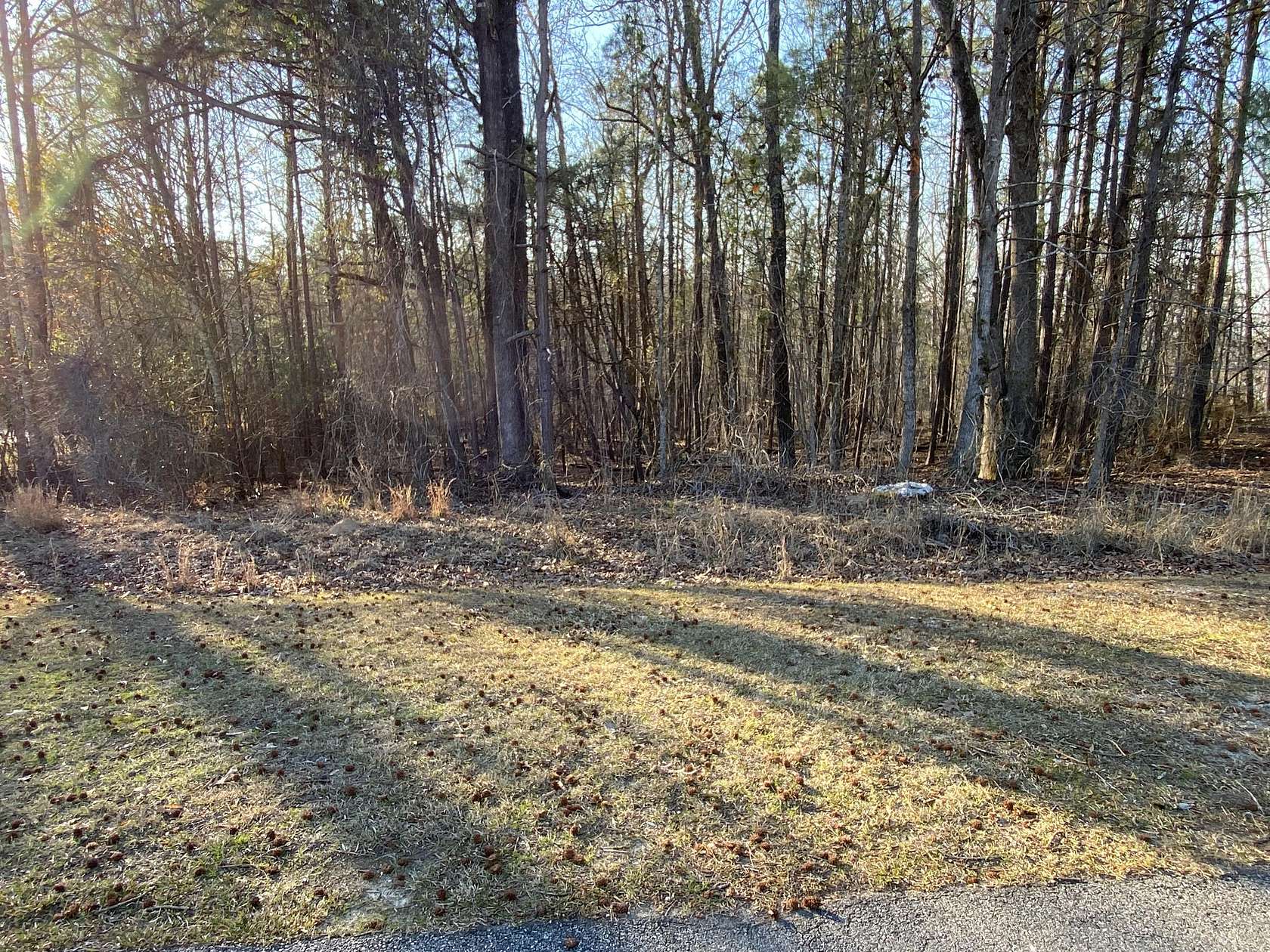 1.5 Acres of Residential Land for Sale in Lincolnton, Georgia