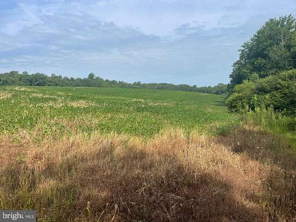 45 Acres of Land for Sale in Evergreen, Virginia