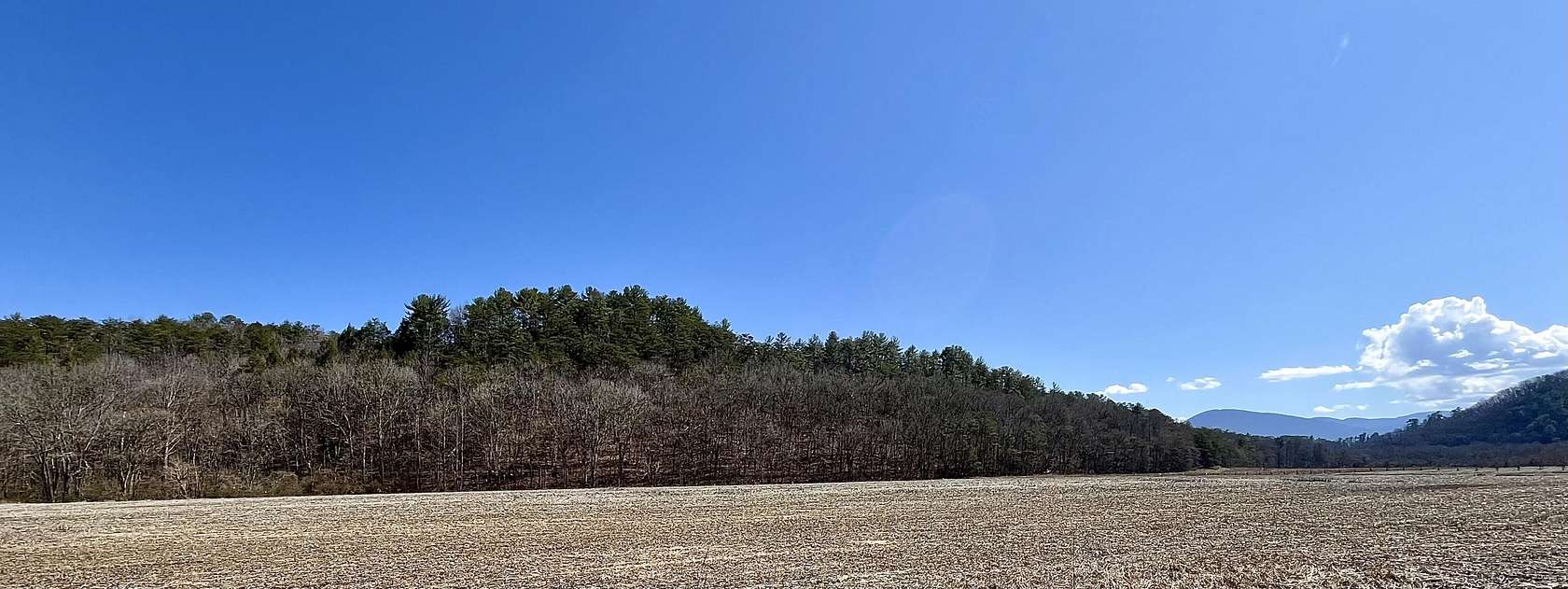 11 Acres of Land for Sale in Del Rio, Tennessee