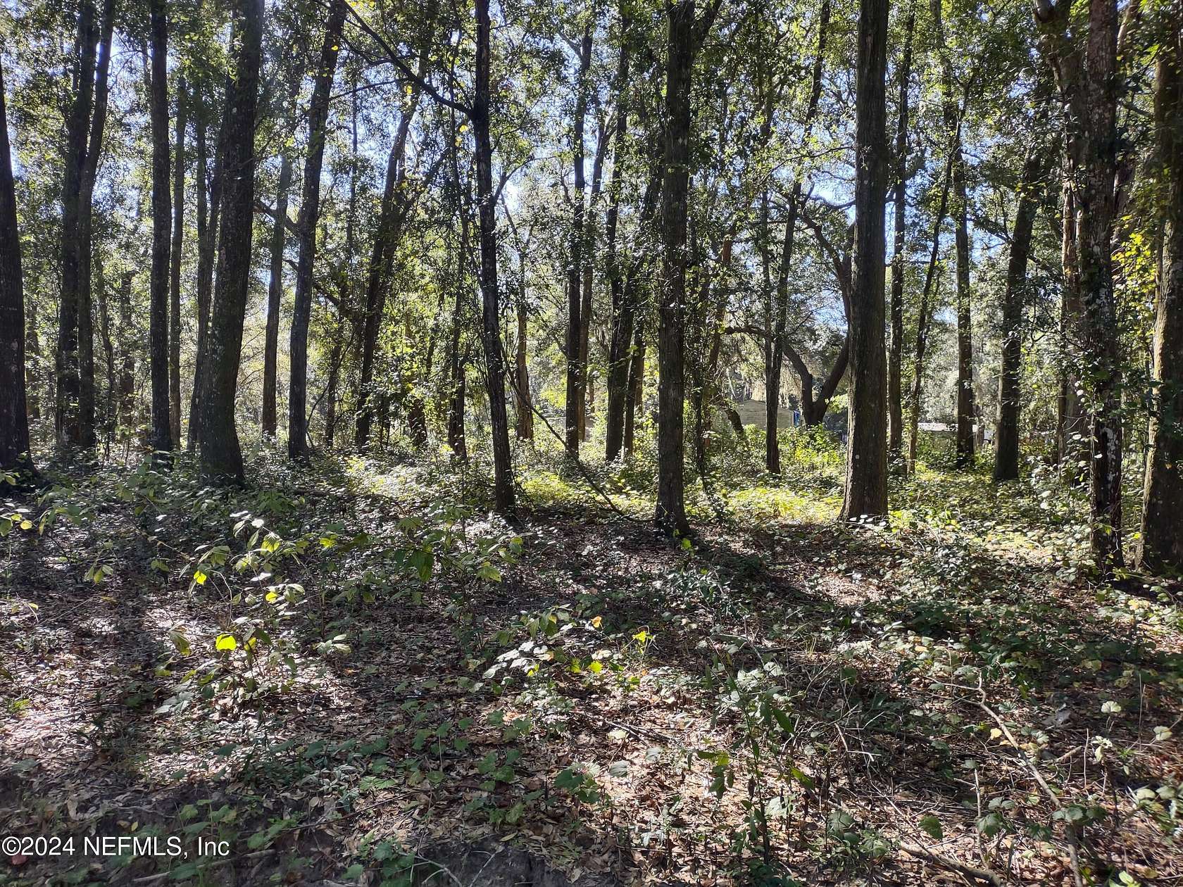 0.23 Acres of Land for Sale in Interlachen, Florida