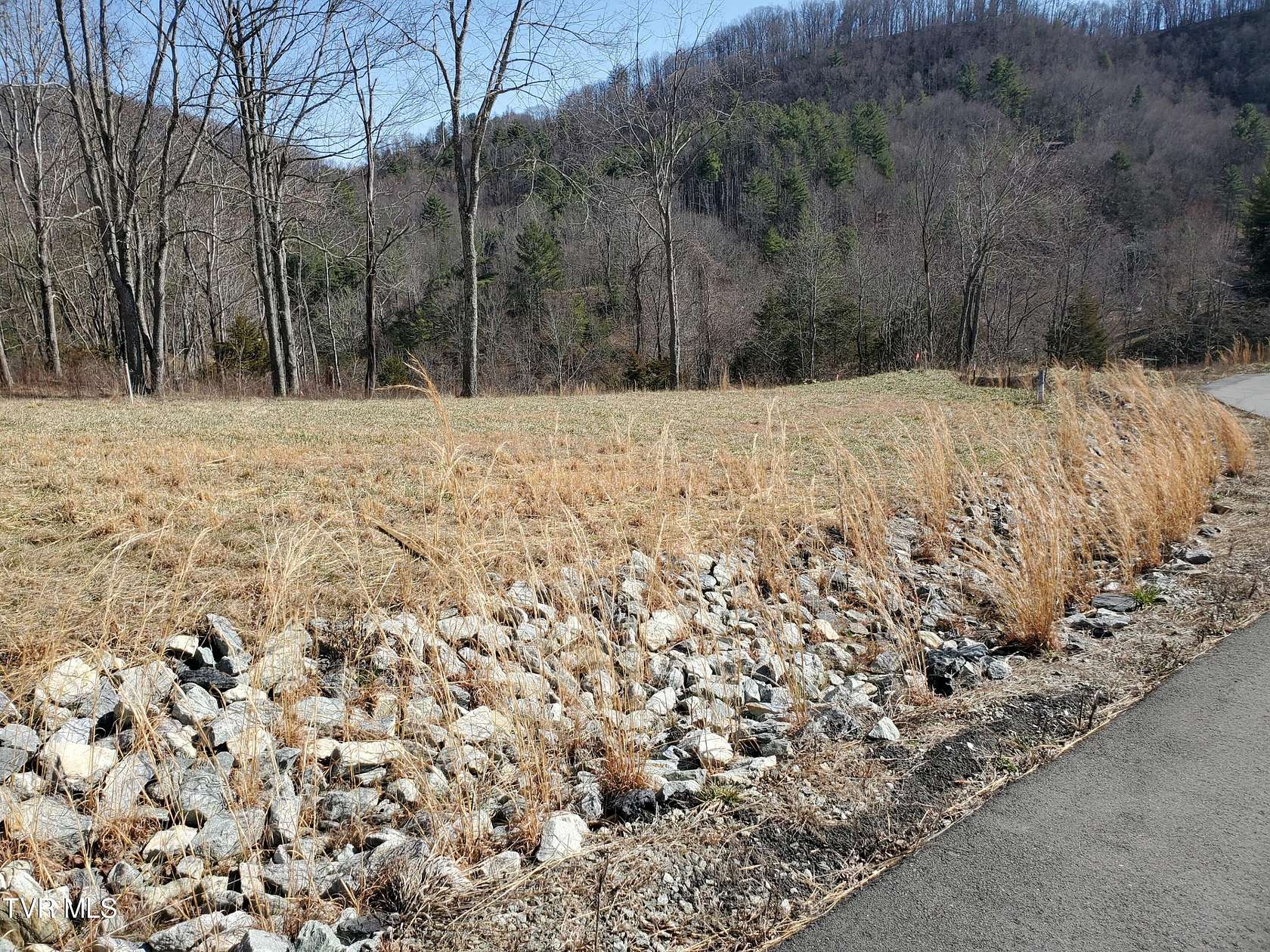 3 Acres of Residential Land for Sale in Butler, Tennessee