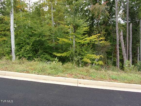 Residential Land for Sale in Morristown, Tennessee