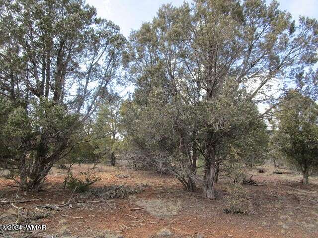 1 Acre of Residential Land for Sale in Show Low, Arizona