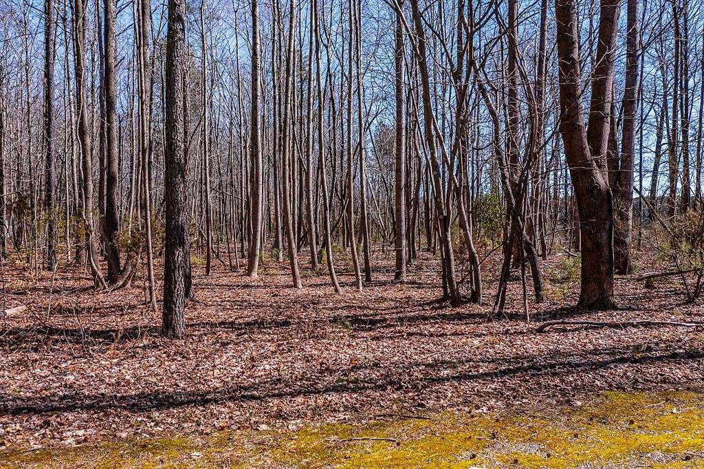 2 Acres of Residential Land for Sale in Irvington, Virginia